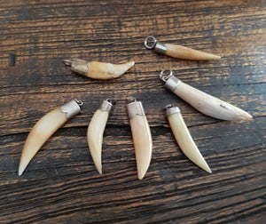 Collection Tooth Pendants