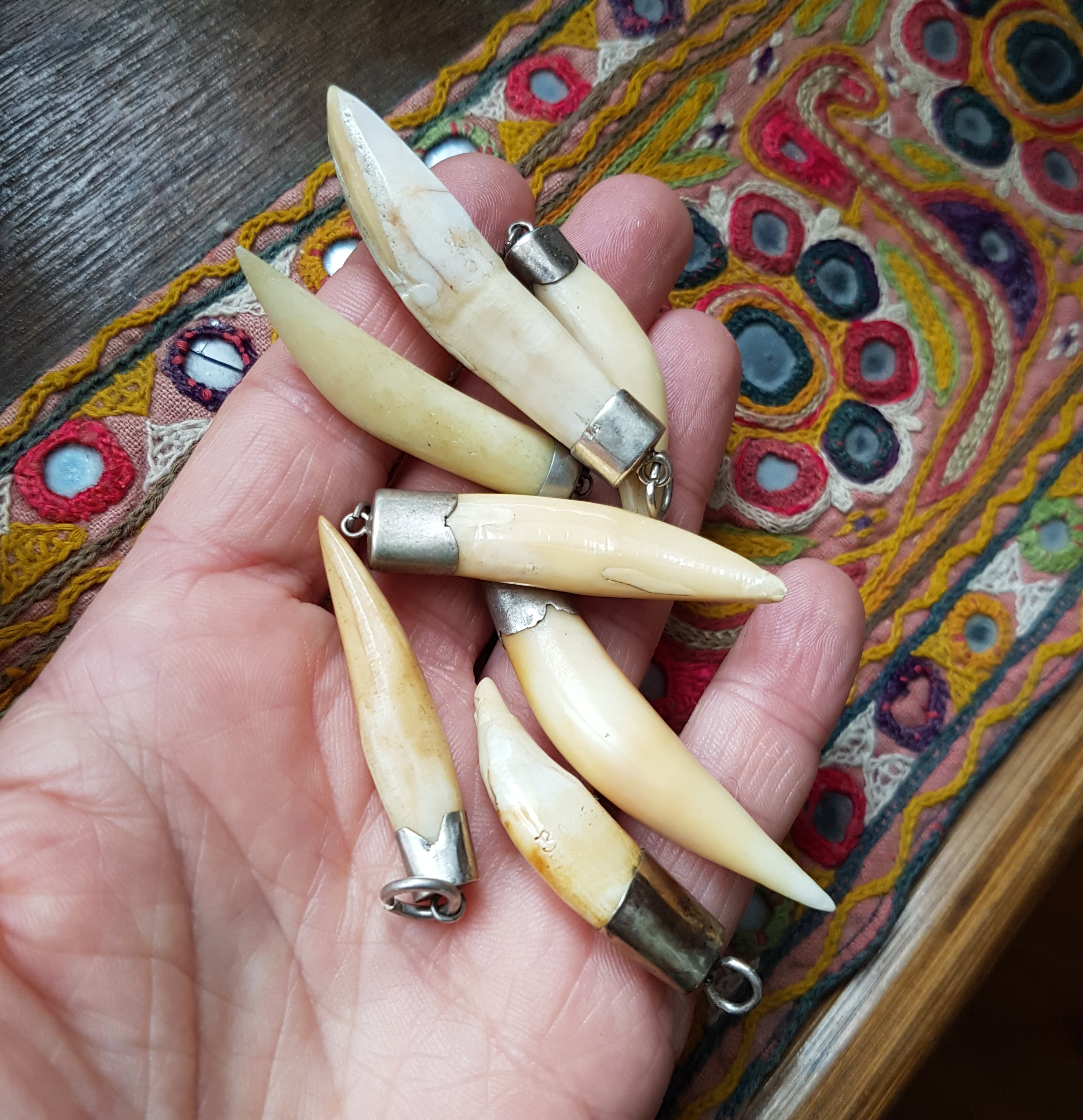 Collection Tooth Pendants