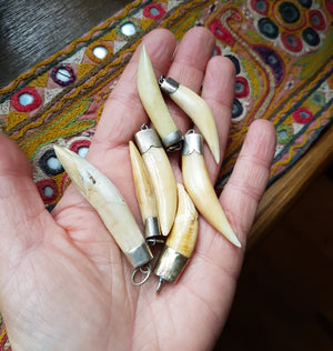 Collection Tooth Pendants