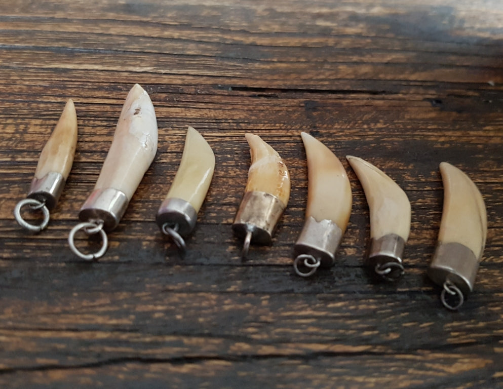 Collection Tooth Pendants