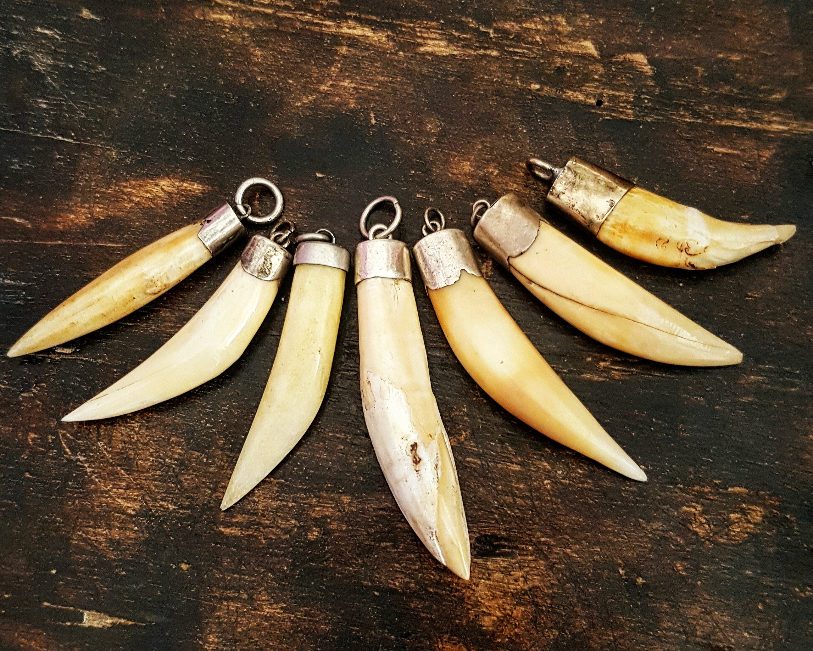 Collection Tooth Pendants