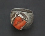 Old Berber Coral Ring - Size 9