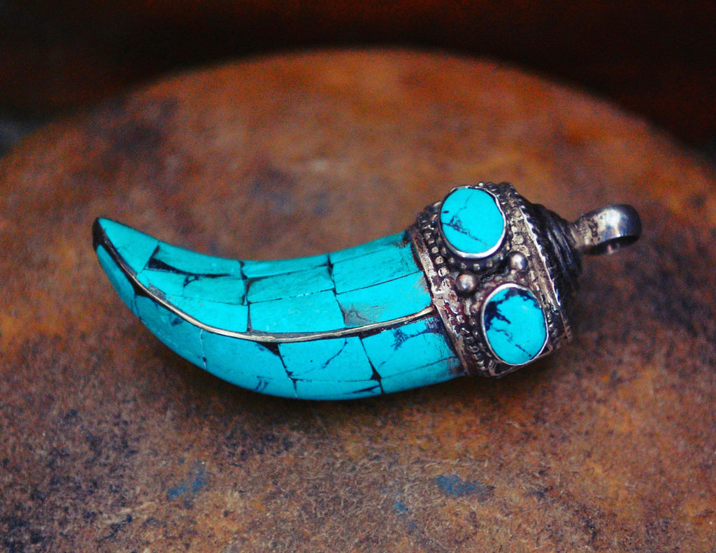 Nepalese Turquoise Tooth Pendant with Silver Cap