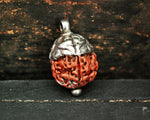 Rudraksha Pendant with Silver Cap