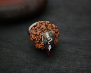 Rudraksha Pendant with Silver Cap and Ruby Charm