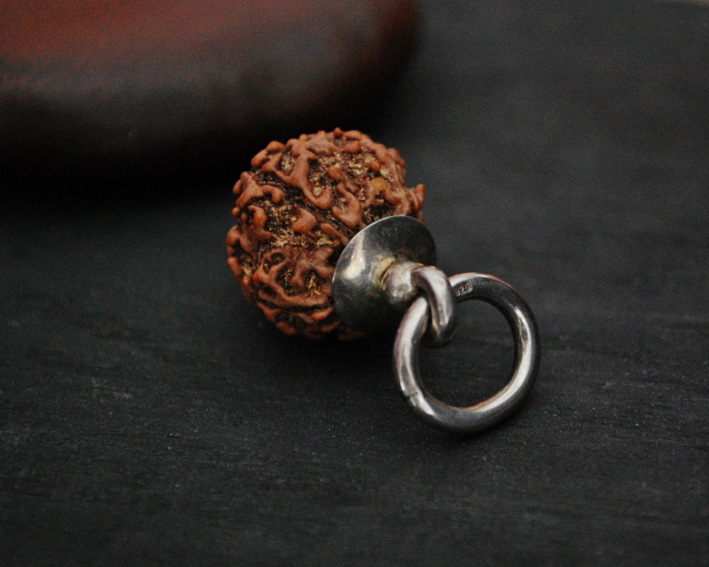 Rudraksha Pendant with Silver Cap and Ruby Charm