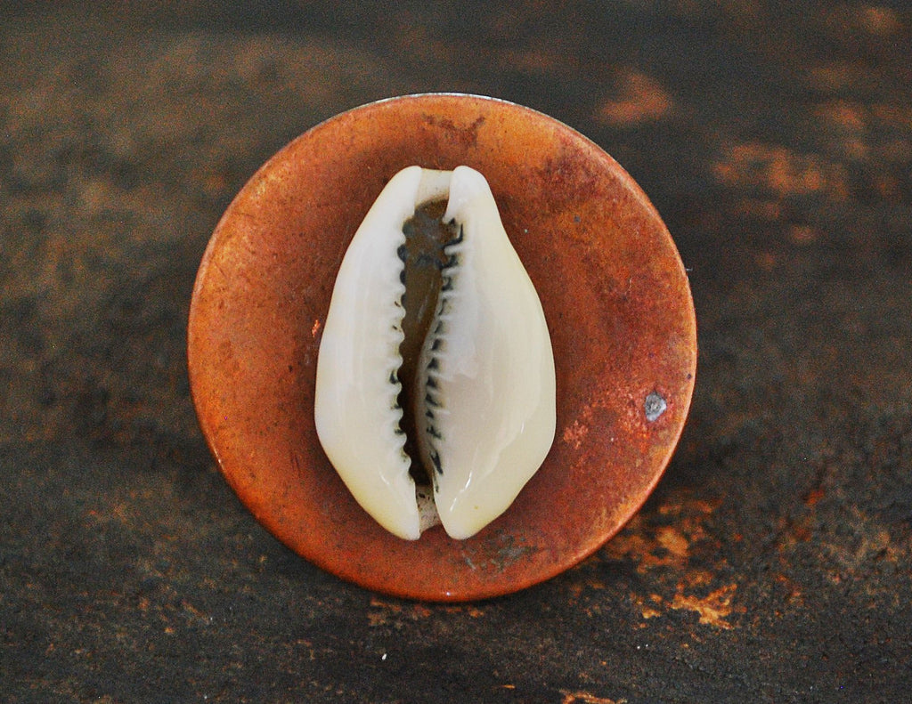 Tuareg Cowrie Shell Ring - Size 10.5