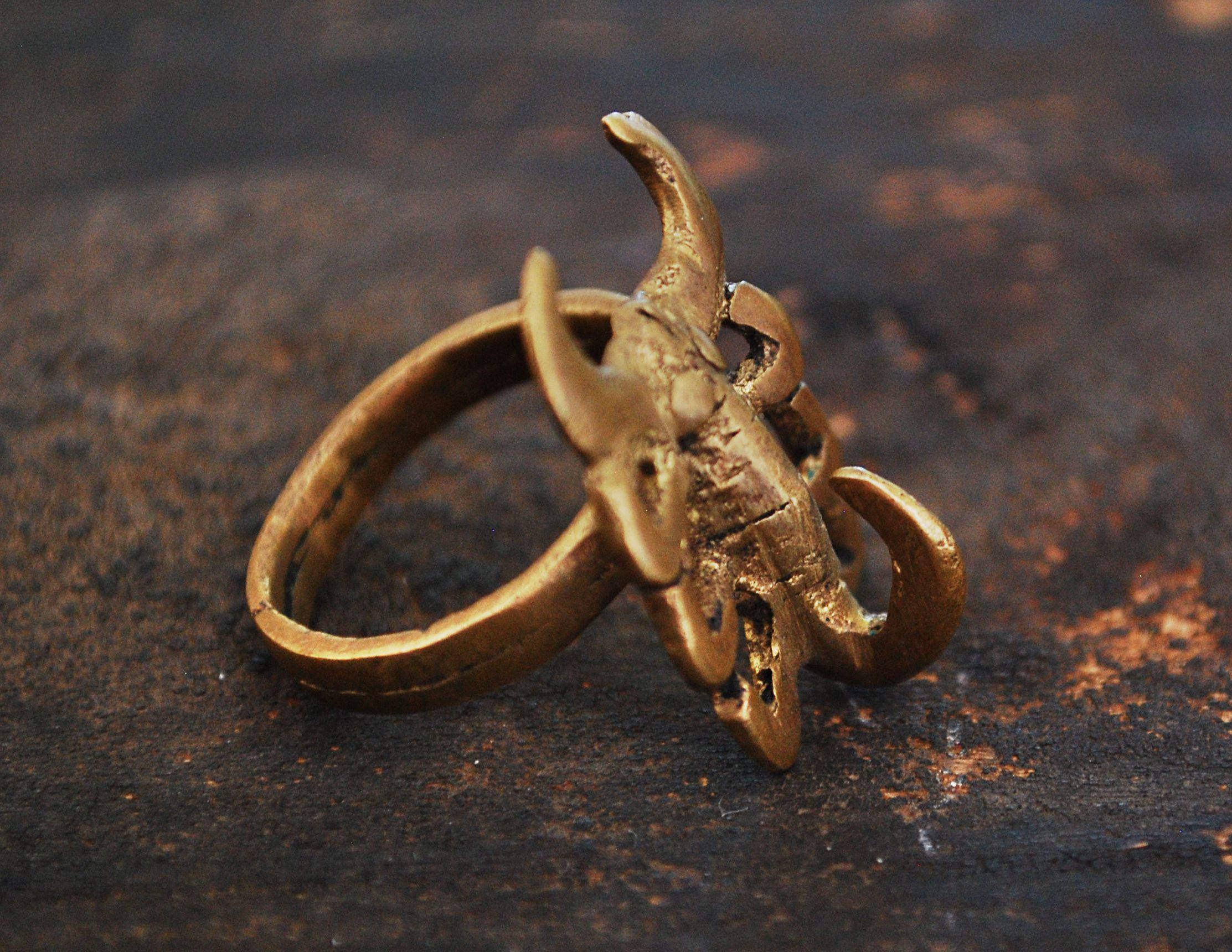 Old Lobi Scorpion Brass Ring - Size 10.5